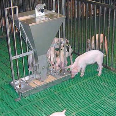 Пластиковые щелевые полы для свиноводства